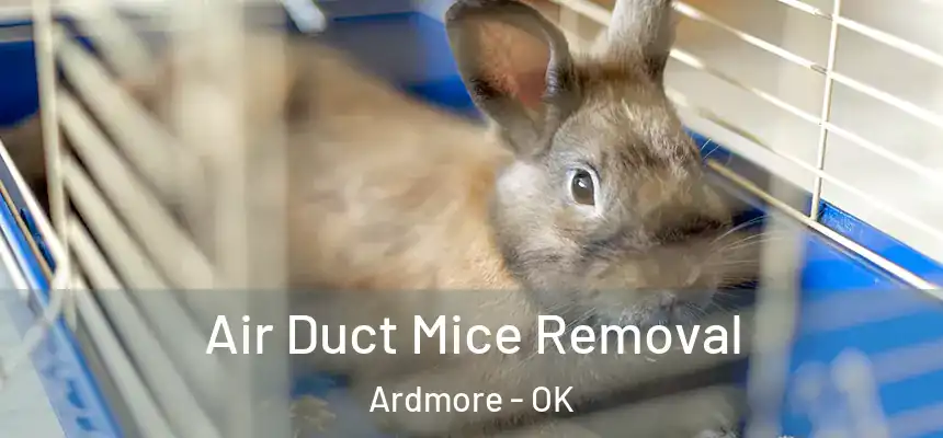 Air Duct Mice Removal Ardmore - OK