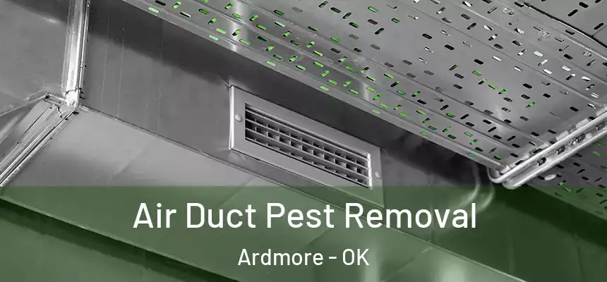  Air Duct Pest Removal Ardmore - OK