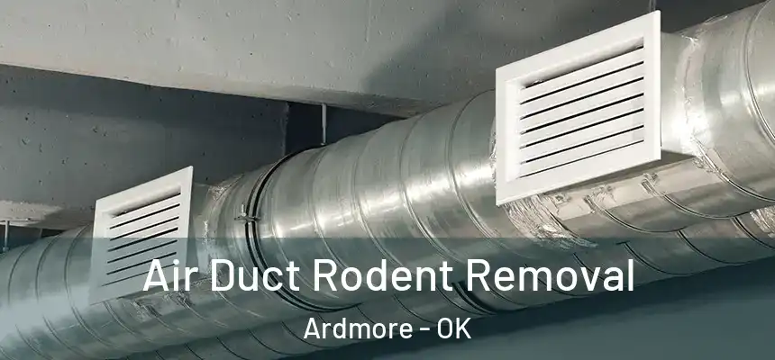  Air Duct Rodent Removal Ardmore - OK
