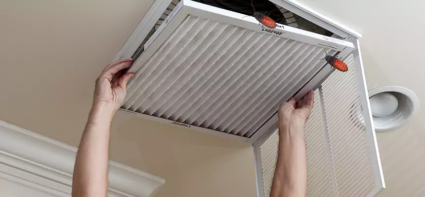 Preventive Cockroach-Proofing for Ducts in Ardmore
