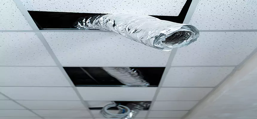 Our Air Duct Pet Hair Removal Services in Ardmore, OK