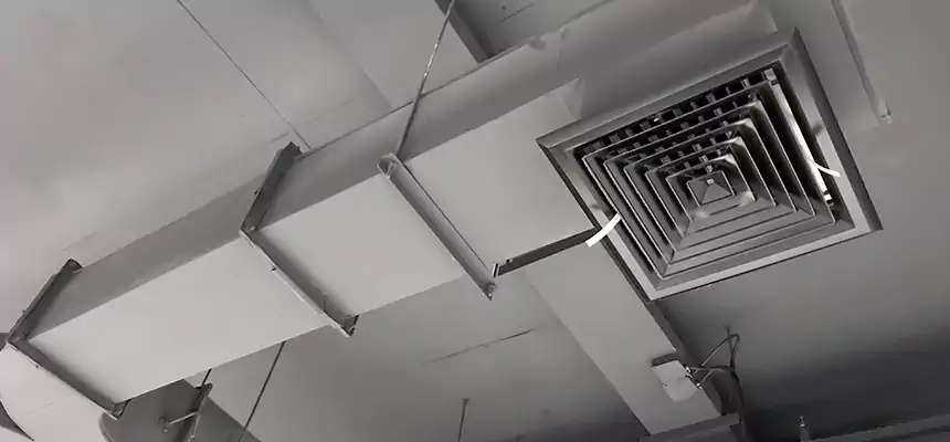 Restorative Allergy Relief Vent Cleaning – Coil, Blower & Housing Detail in Ardmore