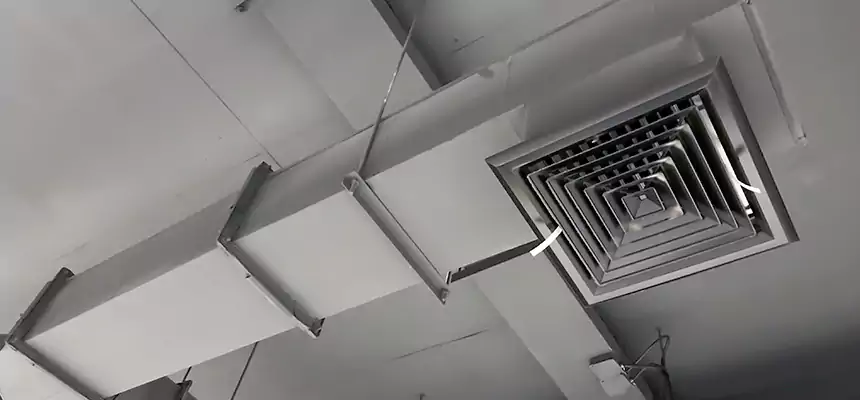 Our Rodent Droppings In Vents Services in Ardmore, OK