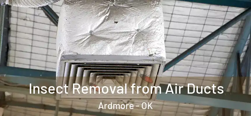  Insect Removal from Air Ducts Ardmore - OK