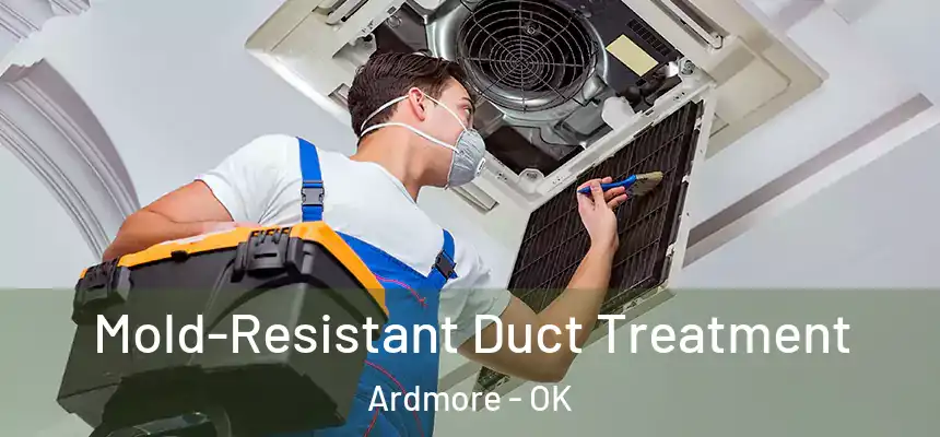  Mold-Resistant Duct Treatment Ardmore - OK