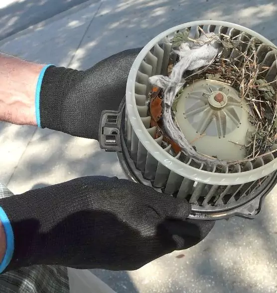 About Air Duct Mice Removal in Ardmore, OK