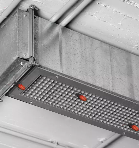 Affordable Insect Removal from Air Ducts in Ardmore, OK