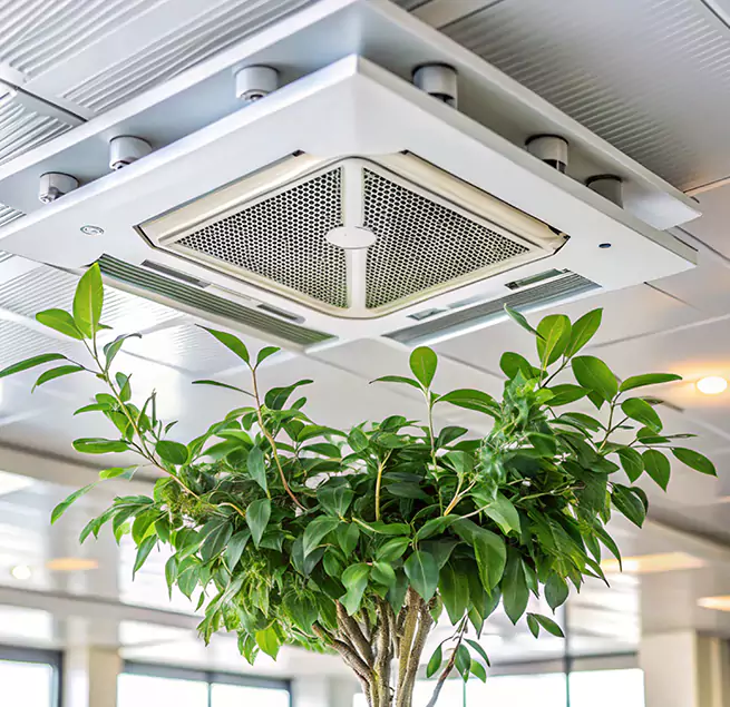 Why Homeowners & Businesses Trust Us in Ardmore, OK